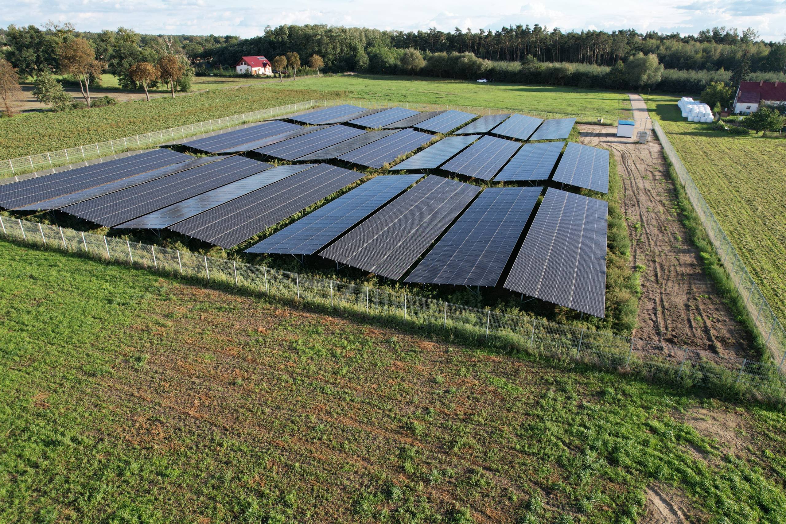 Pępowo / 1 MW